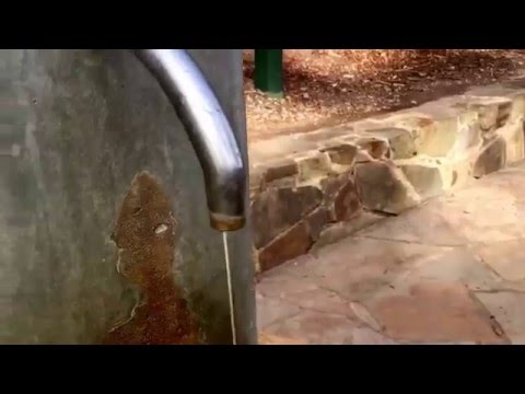 Hepburn Mineral Springs Reserve