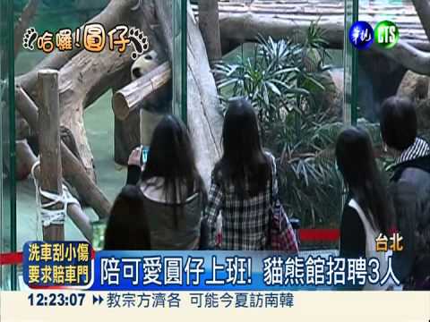 陪圓仔一起上班! 動物園徵才