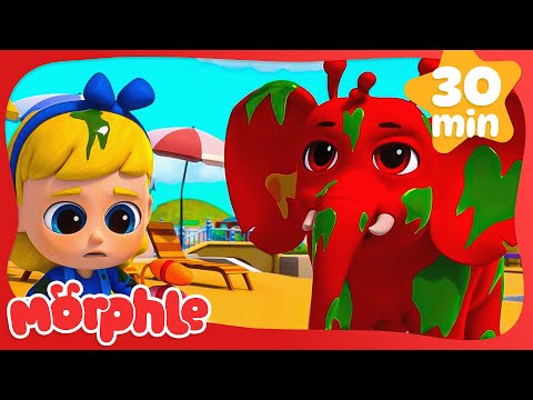 Morphle Gets Slimed | Morphle | Cars, Trucks & Vehicles Cartoon | Moonbug Kids