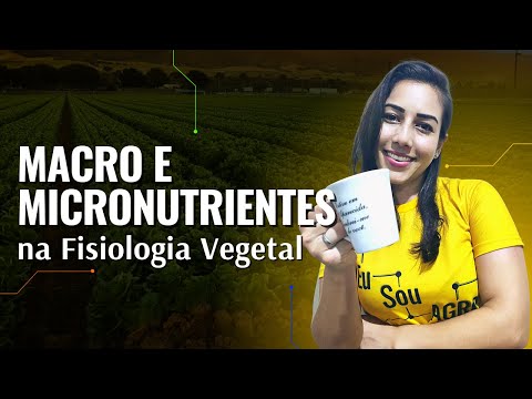 MACRO E MICRONUTRIENTES NA FISIOLOGIA VEGETAL | Kerolém Cardoso