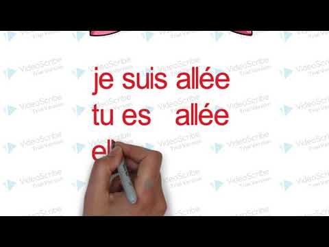 Passé composé mit être