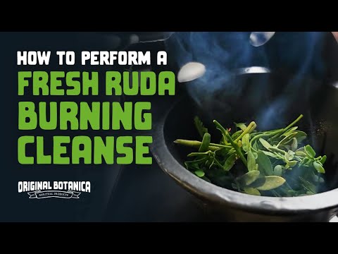 How To Perform a Fresh Rue (Ruda) Burning Cleanse
