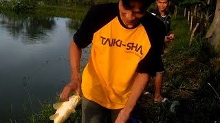 Download lagu Mantab ! Mancing Ikan Nila malah dapat  Ikan TOMBRO mp3