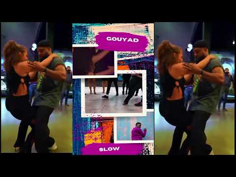 Dj Incredible - Slow motion (Gouyad remix visual)