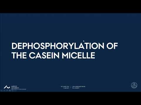 Dephosphorylation of the casein micelle
