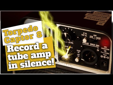 Two Notes Torpedo Captor | Wall Of Sound