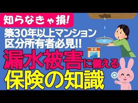 家庭用プールと庭の保険について知っておくべきことすべて  庭園