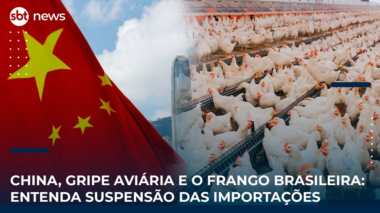 🔴AO VIVO | China suspende compra de frango do Brasil após caso de gripe aviária