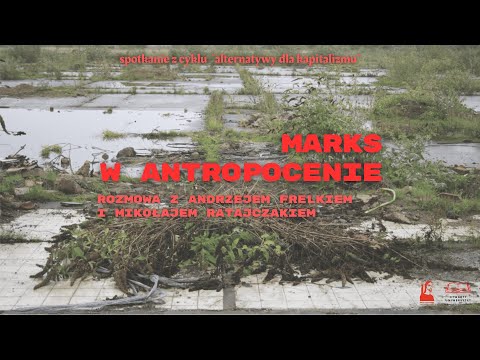 Play Video Youtube Video