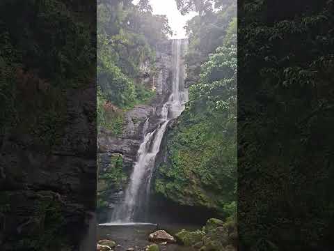 Lugar Lindo São Francisco de Paula/ RS,se inscreva no canal ☺️ ☺️ ☺️