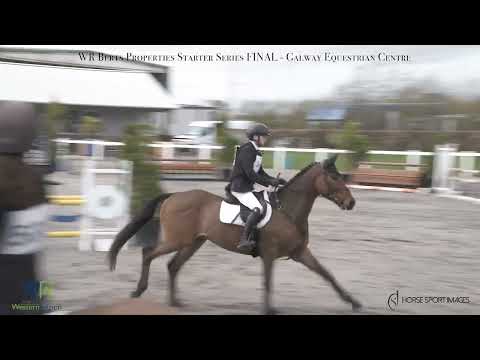 Serious potential eventer - Image 2