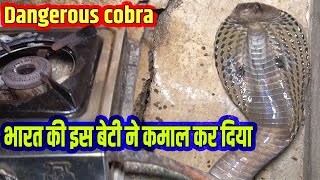 Very Dangerous Cobra Snake in Kitchen Rescue from Rajkishor nagar Bilaspur Chhattisgarh