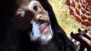 Have You Ever Been In Love?--Dennis Brown (nothing like this)