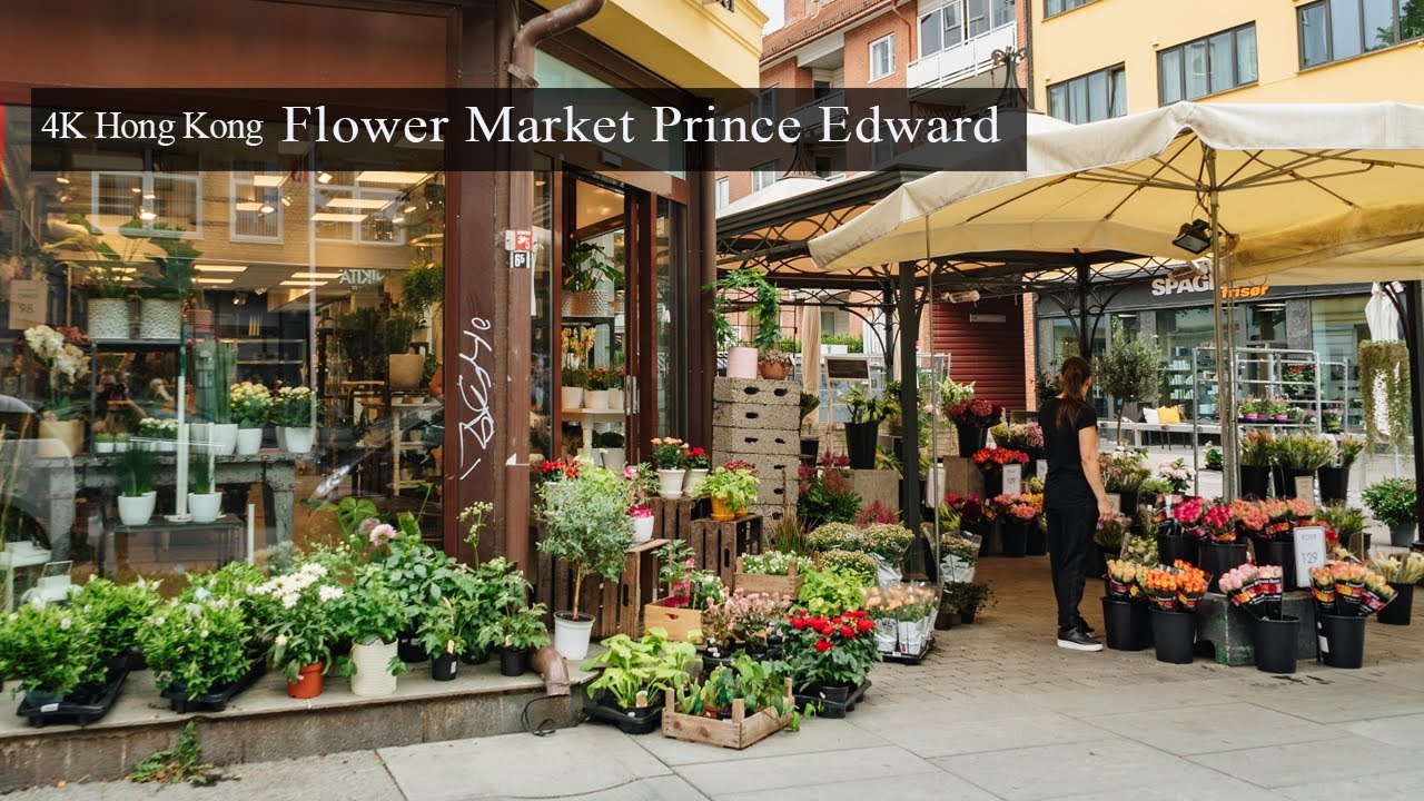 Full walk tour of Hong Kong Flower Market with fresh blooms and plants everywhere