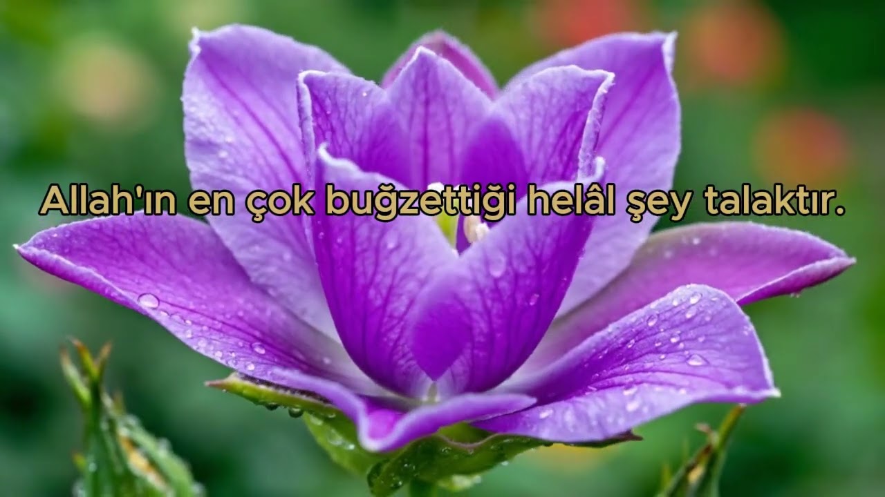 Allah’ın En Sevmediği Helâl | Talak Hadisi