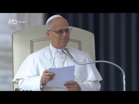 Audience générale du 26 novembre 2025