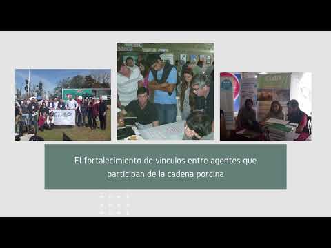 Marcos Juárez: Jornada de actualización porcina en INTA