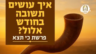 איך עושים תשובה בחודש אלול? | פרשת כי תצא | הרב משה אברג'ל שליט"א