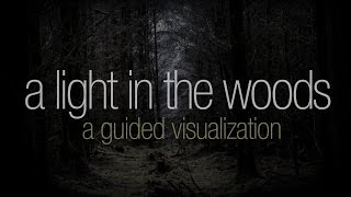 [BINAURAL ASMR] A Light in the Woods: A Guided Visualization (rain, ear to ear whispering)