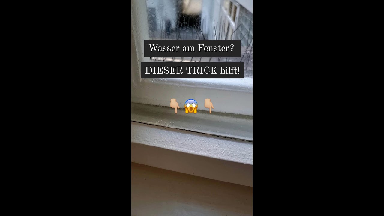 Kondenswasser Fenster - Das kannst du dagegen tun!