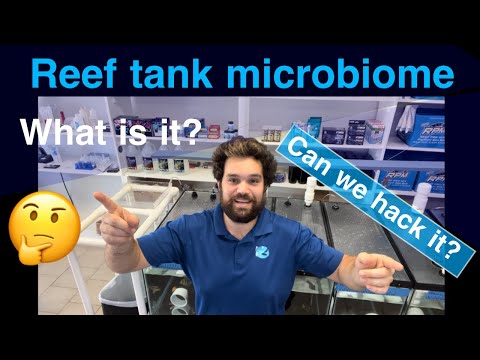 Don’t add bacteria to your saltwater reef aquarium before watching this!