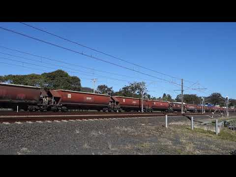 RL301 / C509 / 1202 with SSR empty grain 4847 - 11/8/21