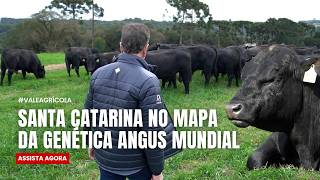 Miniatura do vídeo