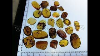  Křídový jantar SJ-75