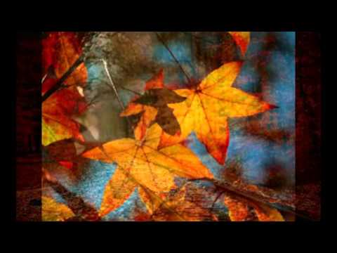Autumn leaves - play along (without drums)