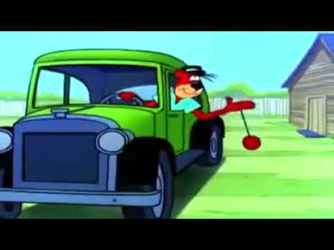 família Urso dublado completo