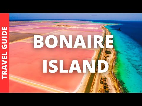 Bonaire Island Travel Guide: 14 BEST Things To Do In Bonaire Island Carribean
