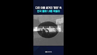 다리 이름 새겨진 '명판' 쏙..전국 돌며 1.9톤 싹쓸이 #shorts