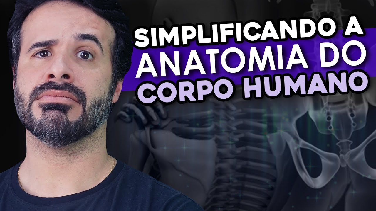 O Que é Tuberosidade Anatomia