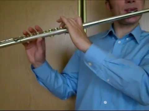Wm.S.Haynes flute