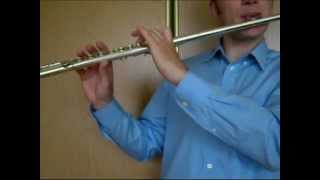 Wm.S.Haynes flute