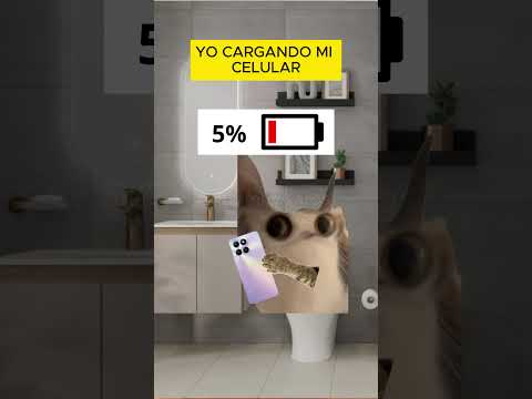 Otras personas cargando su celular VS yo (meme de gatos)