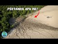 Ribuan Ular Terlihat Meninggalkan Hutan Terekam Kamera Pilot Helicopter Kenapa Ini Fenomena2 Hut