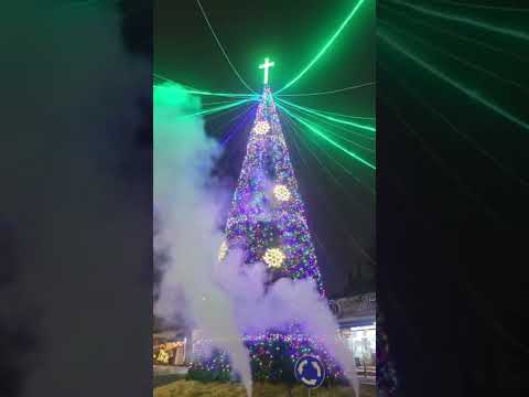 광주 양림동 트리 점등식🎄, 크리스마스 문화축제 개막!