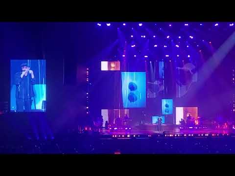 Carboni a Bologna 24.1.2026 - Mi Ami Davvero