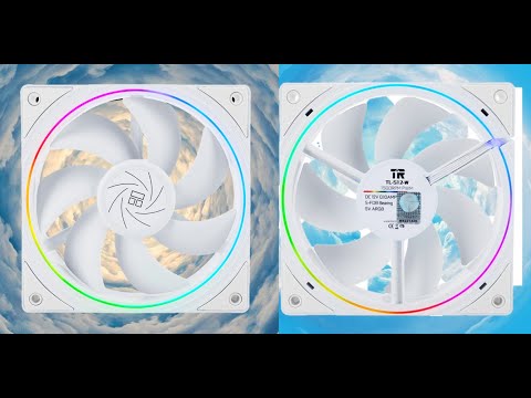 TL-S12: The New Value King??