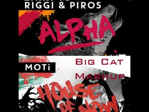 Zaxx & Riggi & Piros & MOTi & Tiësto - House Of Now & Alpha [Big Cat Mashup]