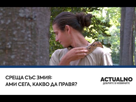 Среща със змия: Ами сега, какво да правя? 