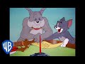 Tom Jerry The Peace Treaty Classic Cartoon WB Kids