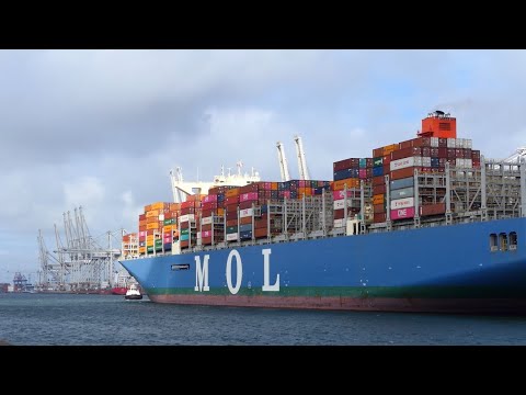 Container Ship MOL Tradition arrives to the Port of Rotterdam #177