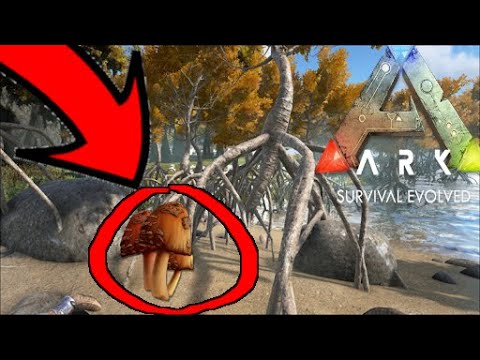 Ark Survival Evolved Rare Mushroom