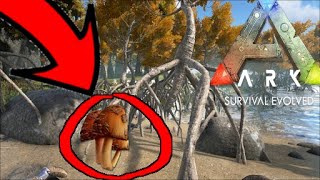 🎮 How to get RARE MUSHROOMS // ARK: Survival Evolved
