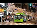 Night Cherry Blossom Road and Sinchon Blues in Seoul | Korea Travel 4K HDR