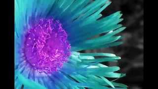 Drunk All The Time - Dillon Francis Feat  Simon Lord (Edwah Remix)