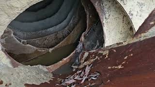 Camion malaxeur Volvo FM9 | Image 5 - Machineryline