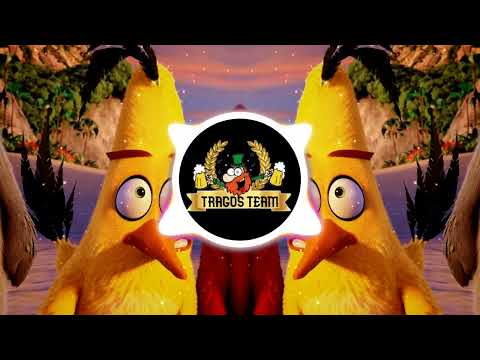 TragosTeam - Joel Corry x MNEK - Head & Heart